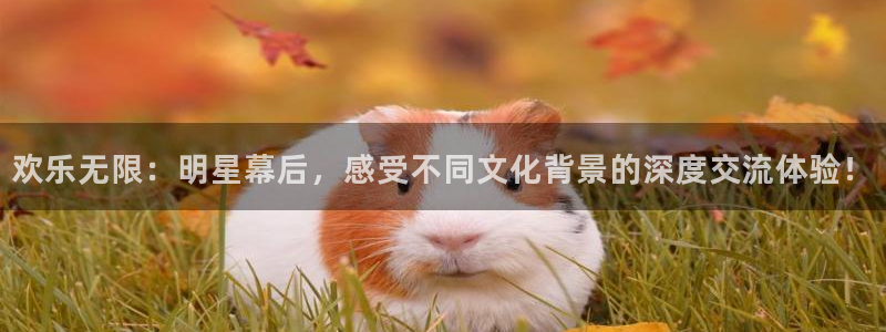 顺盈娱乐：欢乐无限：明星幕后，感受不同文化背景的深度交流体验！