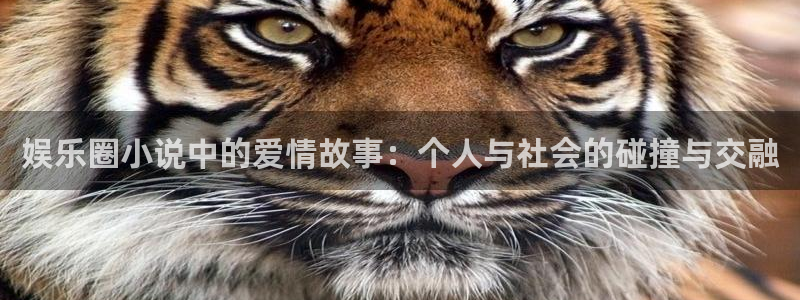 顺盈娱乐：娱乐圈小说中的爱情故事：个人与社会的碰撞与交融