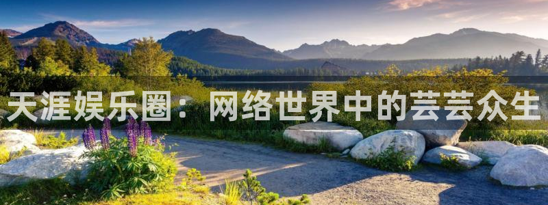 顺盈娱乐：天涯娱乐圈：网络世界中的芸芸众生