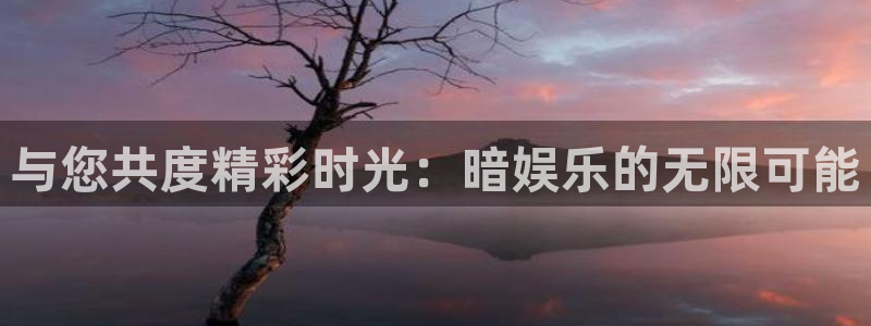 顺盈娱乐：与您共度精彩时光：暗娱乐的无限可能